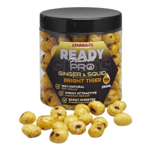 STARBAITS Tygří ořech Bright Ready Seeds Pro Ginger Squid 250ml