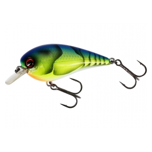 Westin Wobler BassBite 2.5 Squarebill 7cm 16g Floating Chart. Blue Craw